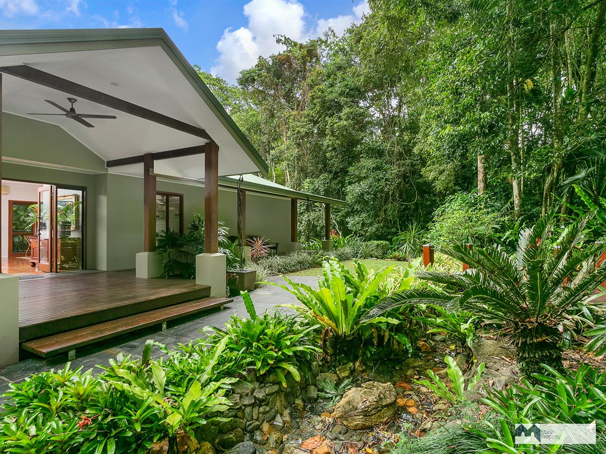 Tranquil Rainforest Privacy